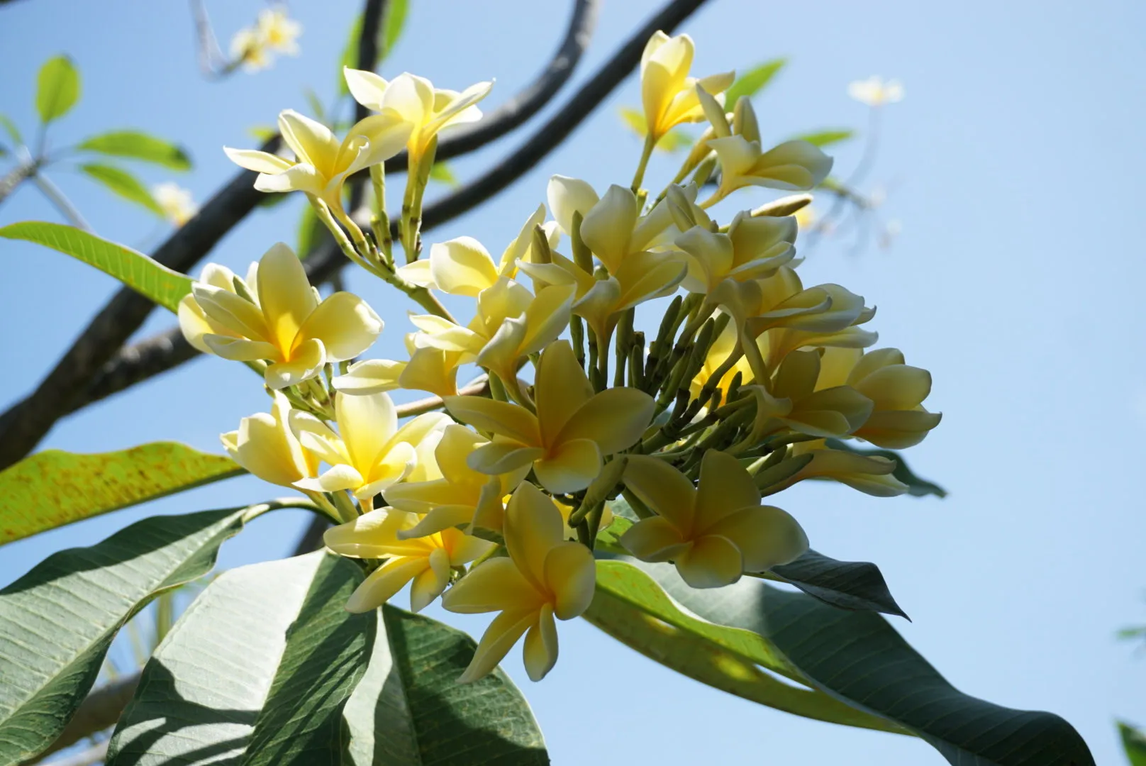 PikkuMyy Salon Interior